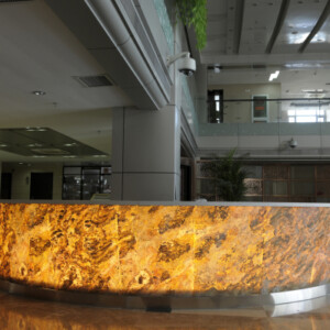 Moxie Surfaces - AIR-board Stone Autumn Trees