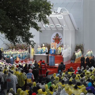 clear-PEP UV PC canopy for papal visit clear-PEP UV PC canopy for papal visit