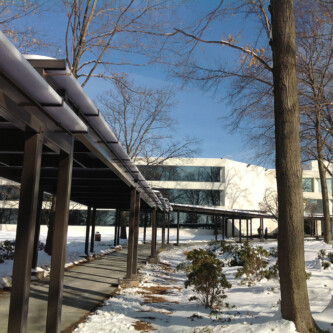 clear-PEP satin translucent honeycomb panels - an excellent choice for covered walkways clear-PEP satin translucent honeycomb panels - an excellent choice for covered walkways